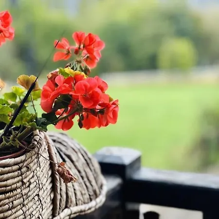 Apartman Ca La Mimi *